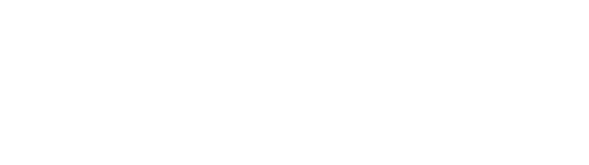 Synetra Logo